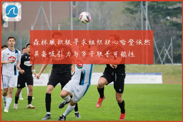 森林狼积极寻求组织核心哈登依然具备吸引力与华子联手可能性