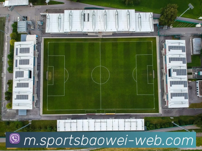 宝威体育APP 封面图